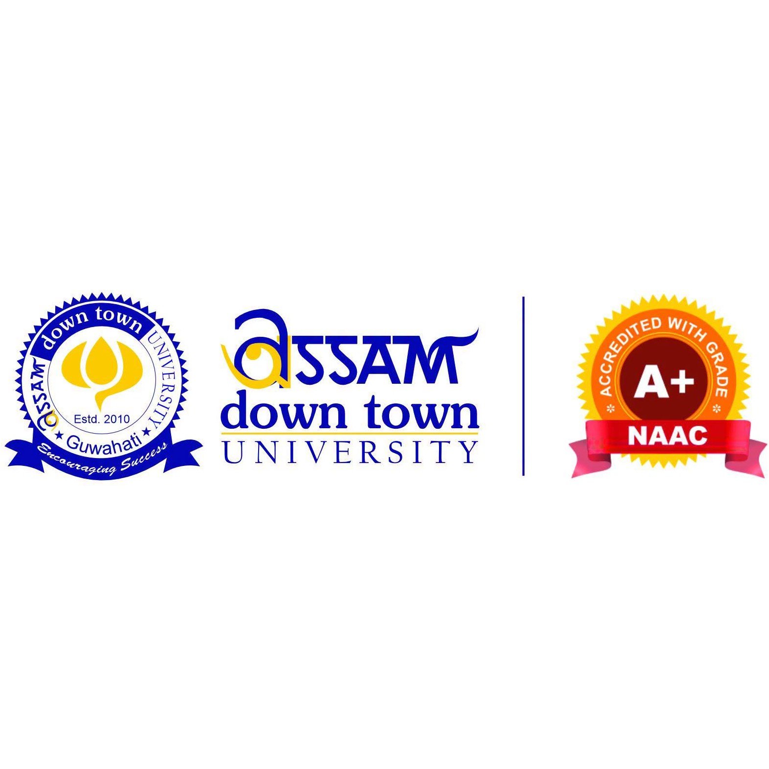 Partner University