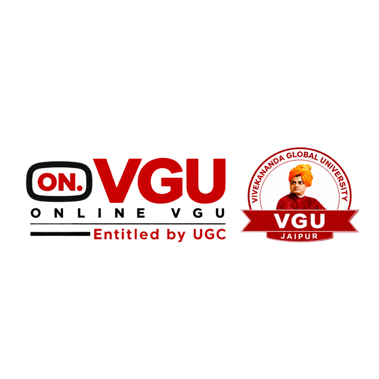 Partner University