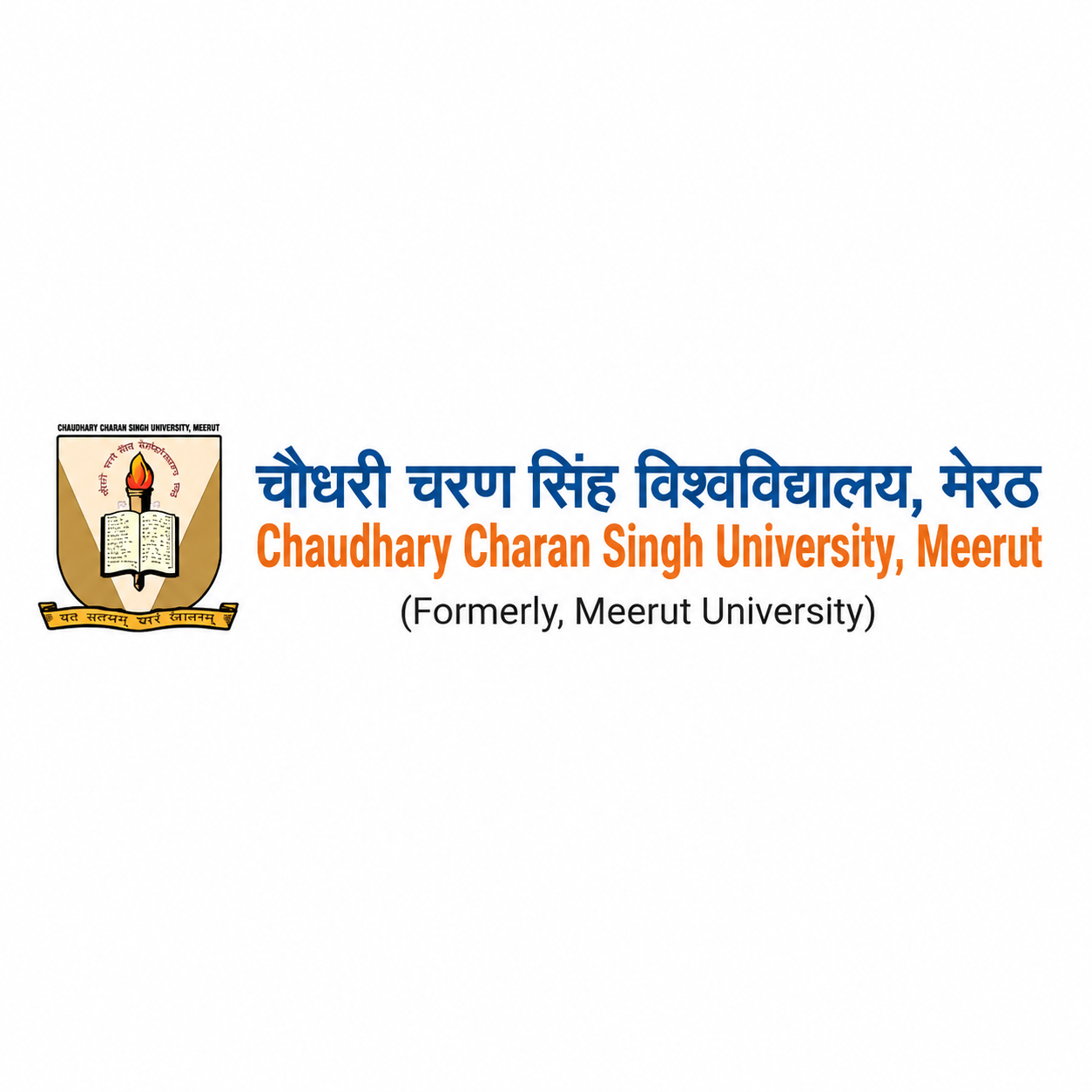 Partner University