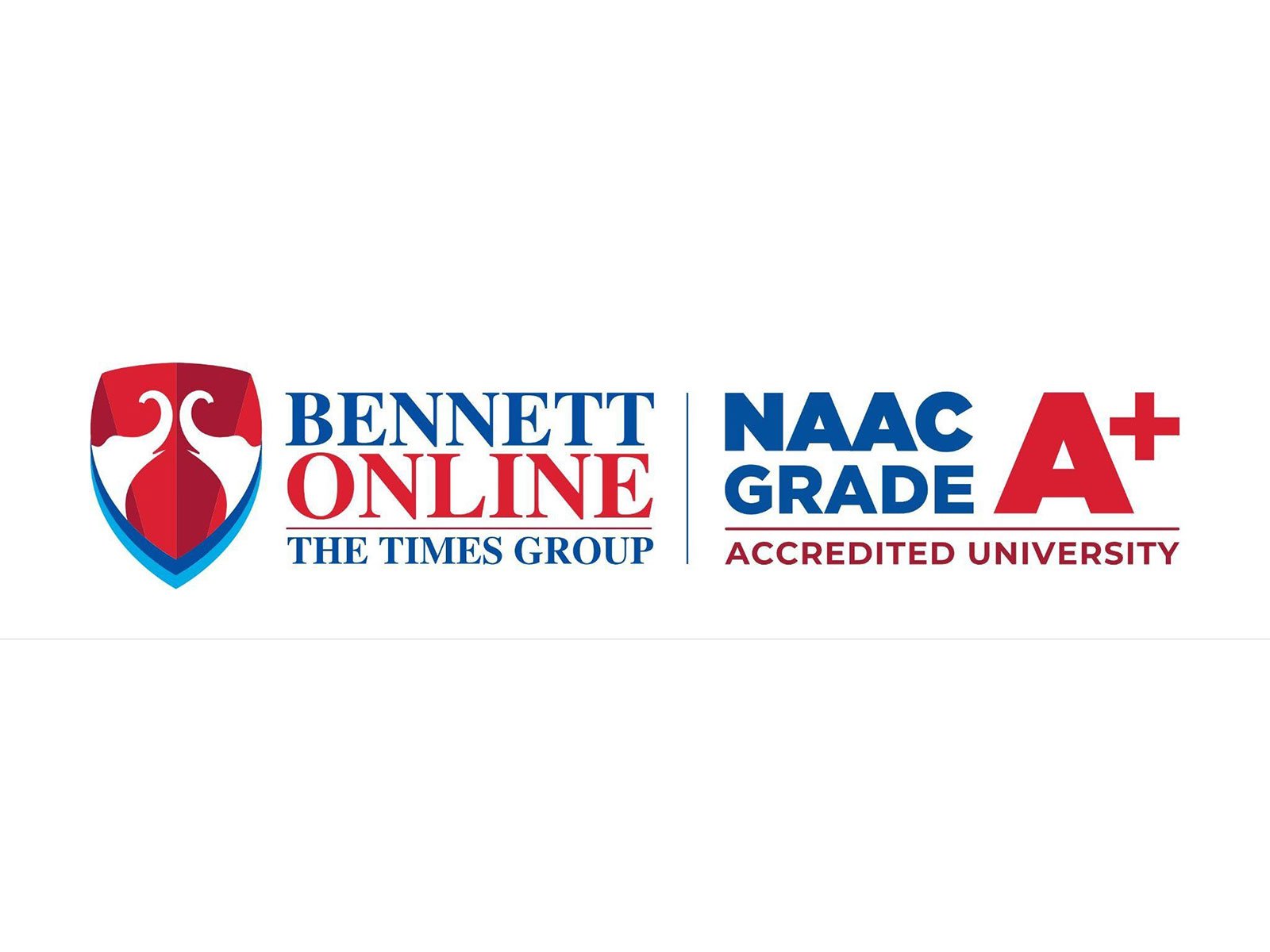 Partner University