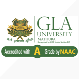 Partner University