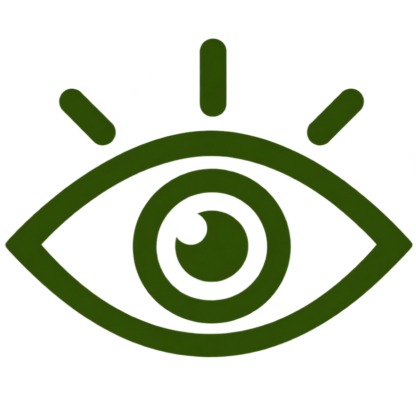 Vision Icon